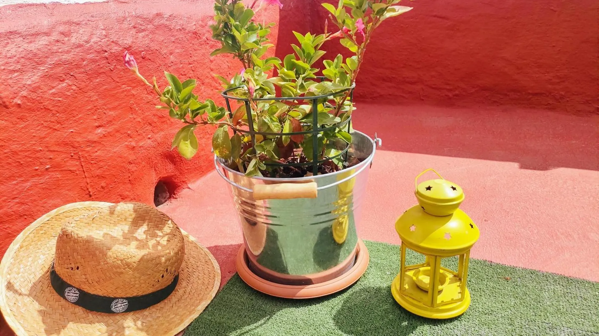 Casa El Escano Granadilla De Abona 0*,